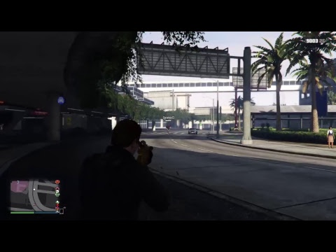 Me and zach killing cops on gta v