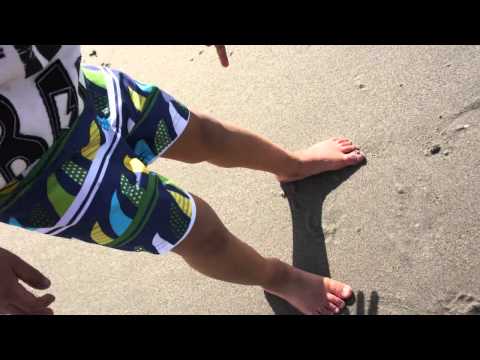 Romir Meera Kashvi Moss Landing Beach Feb 16th 2013