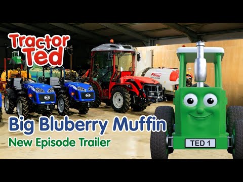 NEW Tractor Ted Trailer | Big Blueberry Muffin 🫐 Tractor Ted Official