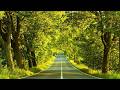 On The Way Background Guitar Music For Studying And Focus Study Music Loop Version Ocb Relax