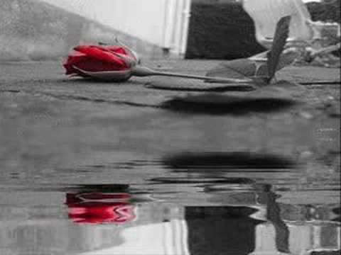 dj anıl vs.duygun new