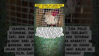 Download lagu 'Geger! Setoran Judi Sabung Ayam, di Way Kanan Lampung?!' #sabungayam #TNI #Polisi #lampung mp3