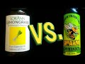 Swarm Commander VS. Lemongrass Oil Experiment 🐝 #swarms #honeybees #beekeeping