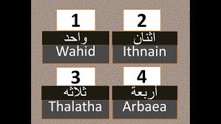 Download lagu Belajar angka Arab dari 1-20 - cara berbicara bahasa Arab mp3