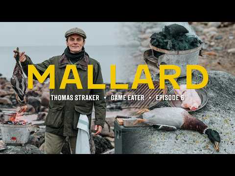 Duck shooting on a Scottish Island | Game Eater