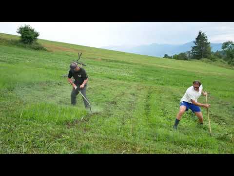 Grass Trimmer versus Scythe /Rasentrimmer gegen Sense/- Love Scything 6
