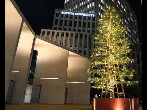 Sophia Christmas Lights 2020 Highlight