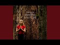 Ambient Sound To Recharge Your Soul Nature Sounds
