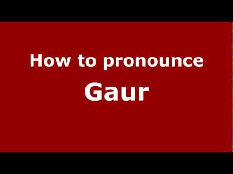 How to pronounce Gaur