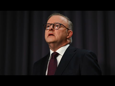 Prime Minister Anthony Albanese ‘gaslit’ and ‘humiliated’ DV rally organiser
