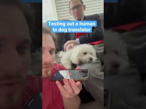 Testing a Human to Dog Translator!
