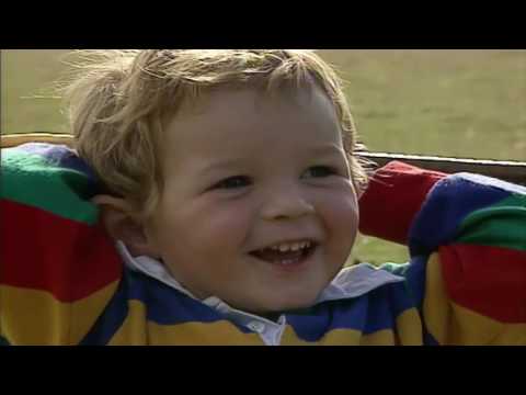 Teletubbies: Herding Sheep