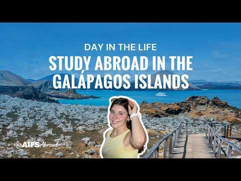 AIFS Abroad — video 2