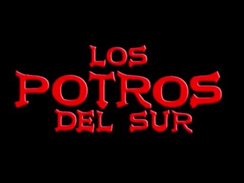 EL AMOR DE SU VIDA - LOS POTROS DEL SUR