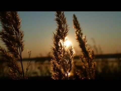 Raga for Relaxation: Reethigowlai | Raga Surabhi