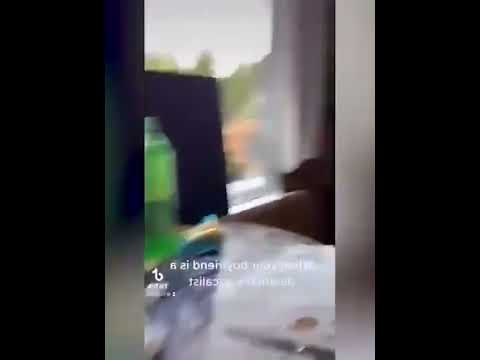 funniest animal videos of 2022 - funny golden retriever btdogs and cutest golden puppies  V.18215 #