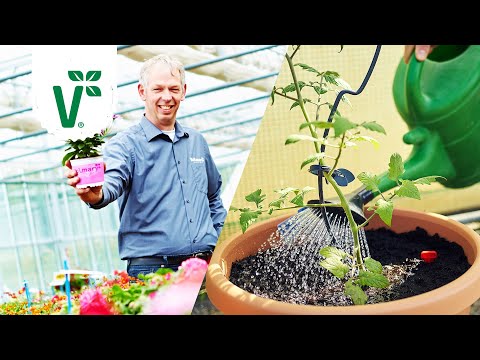 Was muss man beim Gießen beachten? / Pflanzen richtig gießen  - Volkers Gartenwissen