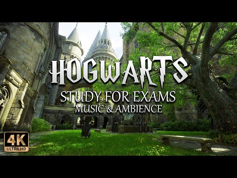 study for exams in the Hogwarts Courtyard | 4K Harry Potter Music & Ambience