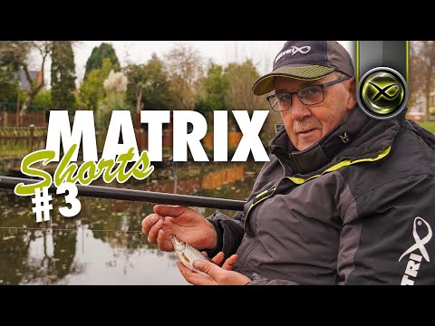 MATRIX Shorts #3 - Headtail in Winter