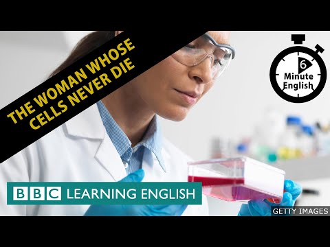細胞不死的女人--6分鐘英語。 (The woman whose cells never die - 6 Minute English)