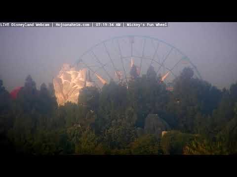 Live webcam of Disneyland Cam
