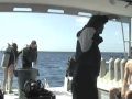 Grand Cayman 2008