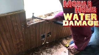 Repairing Wood Rot Surrounding A Leaking Mobile Home Window (They All Leak!)