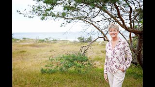 Vaner og afhængighed set i lyset af De Tre Principper