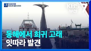 [KBS부산] 풀뿌리 해양K