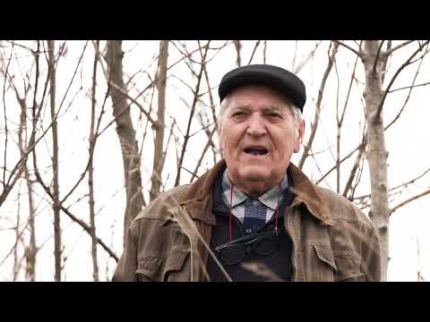 Codăești, județul Vaslui - QR4ALL