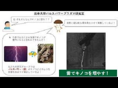 【理工学部】雷でキノコを増やす！