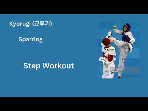 Reza Naderian Taekwondo Academy_Kicks_E_01_Kyorugi (교류기)_Sparring