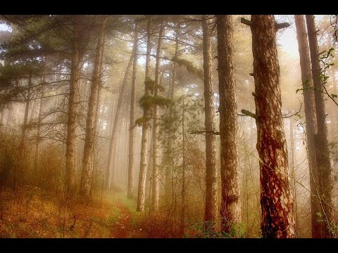 🔄Victor Bh Feat Dj Aka M Mexes Bem - Chely News 🎧 (Non Copy Right) 🎶Electro & Chill Music‼