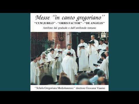 Gaudete in Domino - I modo