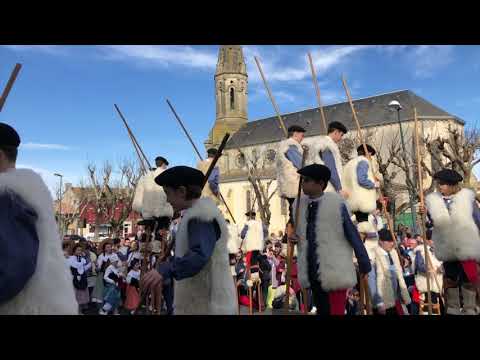 Fête des Bœufs gras, tradition sud-girondine