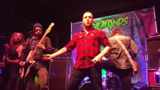 Pigeon Park - Sunlight Fading Away - Live - Waterloo, ON