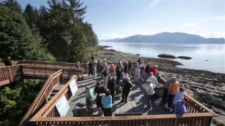 Un-Cruise South East Alaska Cruise & Travel Videos