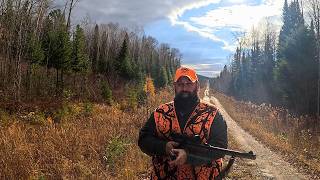 THE TRAPLINE: Setting Traps for Fisher and Marten