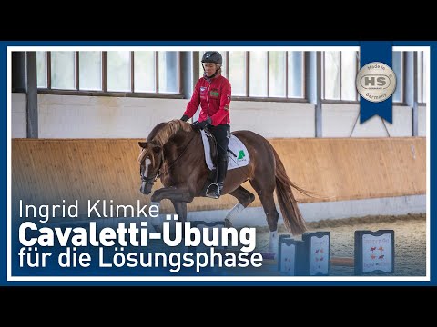 Tipps von Ingrid Klimke: Cavaletti Übung für die Lösungsphase