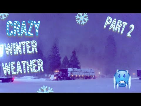 Winter Storm Weed CA Part 2