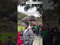 The Village Gala In Foreigners Eyes