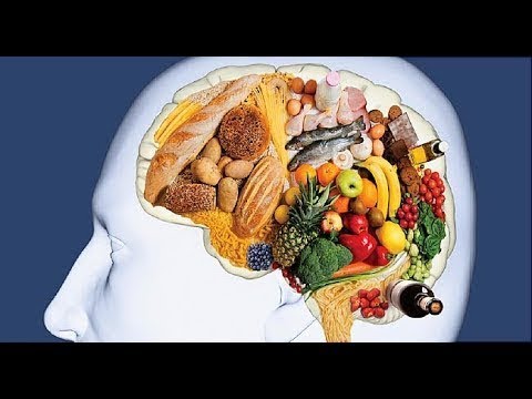How Foods Affect your Brain Amazing BBC Documentary