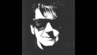 .Roy Orbison.Love in time