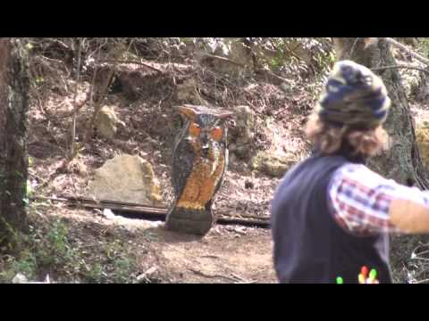 D.Wild archery,Traditional Archery