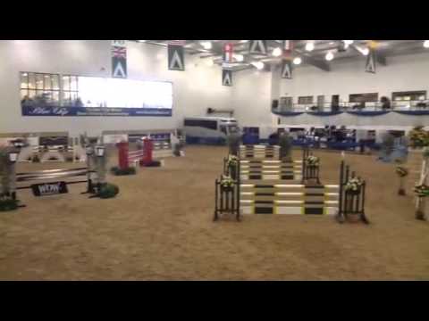 Money Spider V - JC/JA Pro sparkle championship (blue chip