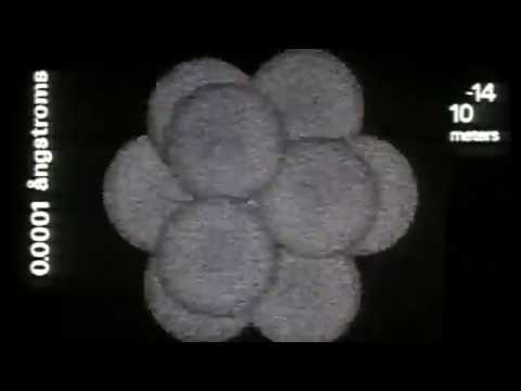 "Motion" / usefulCHAMBER