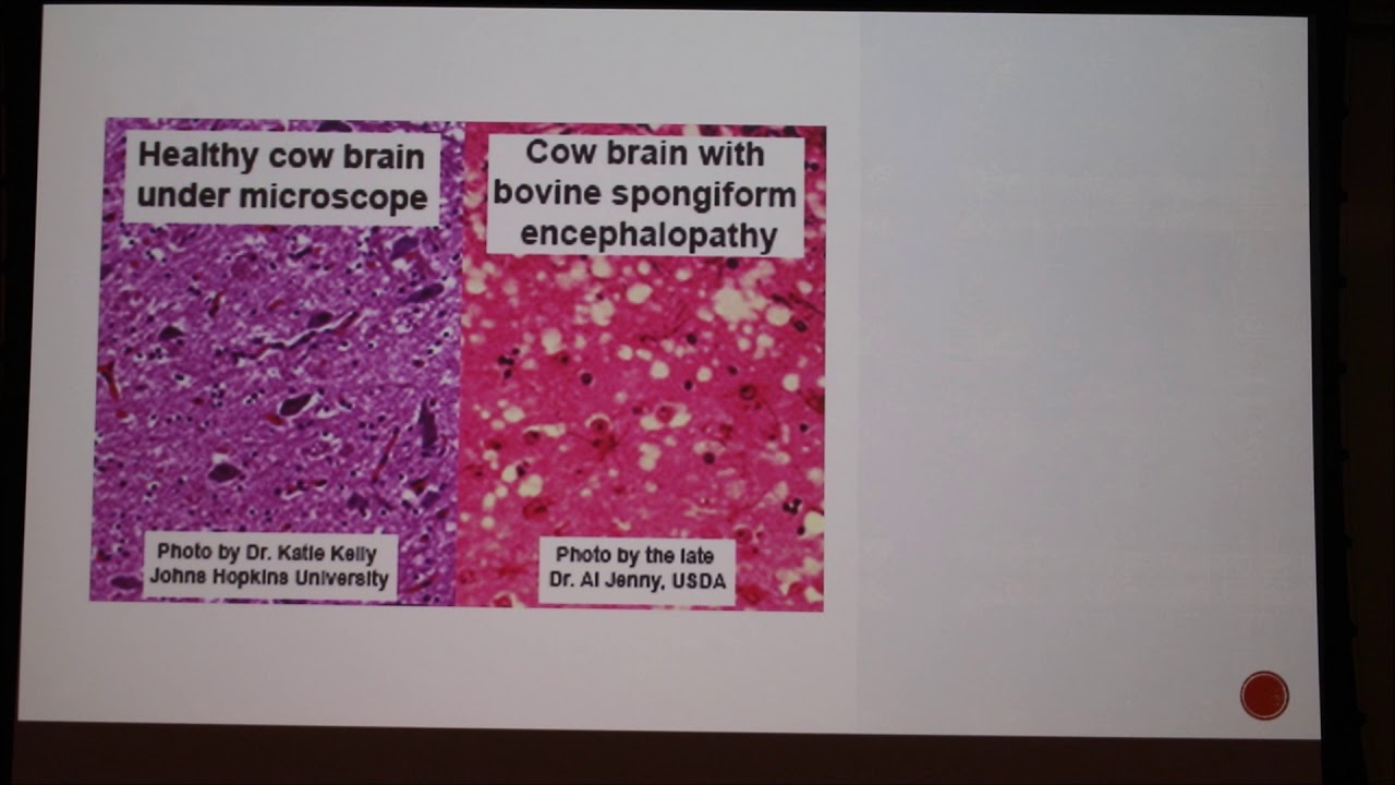 Bovine Spongiform Encephalopathy (BSE) (2018)