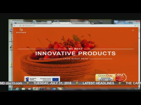 Show & Tell: Wheat Bran Plate