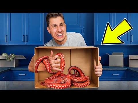 What's in the Box Challenge!
