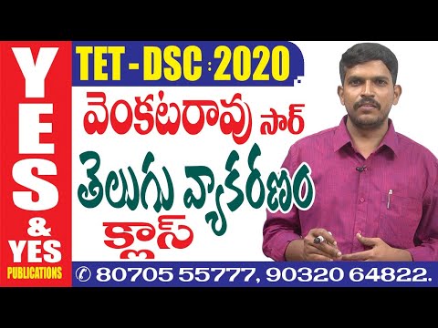 TET-DSC  తెలుగు వ్యాకరణం క్లాస్  || YES & YES